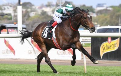 Future History snags ‘golden ticket’ to Melbourne Cup
