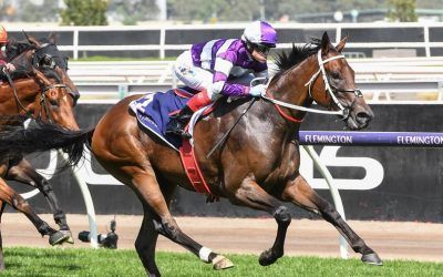 Riff Rocket powers away first-up in CS Hayes Stakes