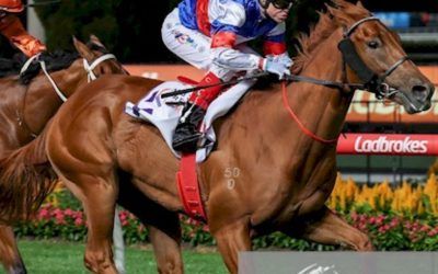 Holy Racket – Moonee Valley