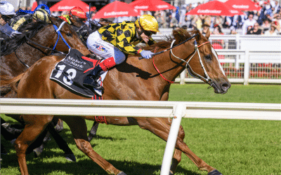 Willinga Beast – Doomben