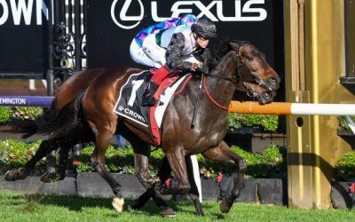 Mr Brightside goes back-to-back in Makybe Diva