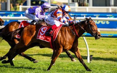 Bellatrix Star storms home in Schillaci Stakes