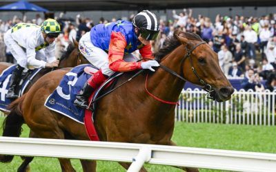 Bella’s prizemoney bonanza