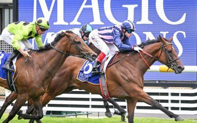 Regal Vow – Caulfield