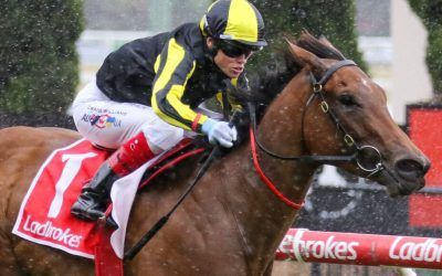 Fickle – Moonee Valley