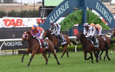 Vics dominate Karaka Millions