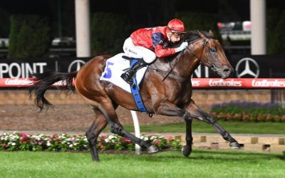 Williams booked for Schwarz