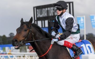 Mr Brightside jumpout latest