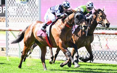 Farhh Flung Breaks a two year drought