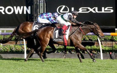 Brightside chases Flemington first
