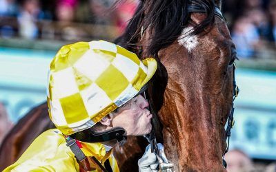 Sir Delius returns to the trials