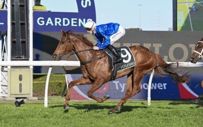 Tempted to run for Godolphin in The Everest