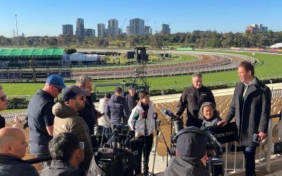 The Cup options for Williams