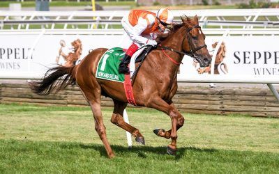 Williams confirms Cup ride