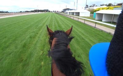 Mytemptation Craig Cam