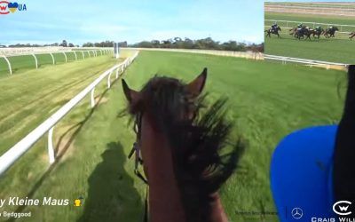 Hey Kleine Maus at Cranbourne jump outs