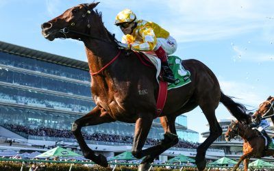 Willo ‘delighted’ with Sir Delius as superstars impress at Sydney trials