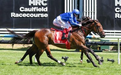 Tom Kitten back in winner’s stall at Caulfield