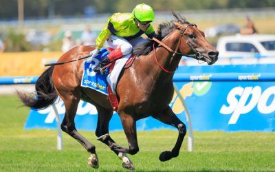 Pallaton Wins Group 3 Zeditave