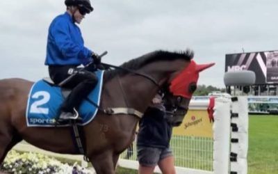 Tom Kitten steers towards All-Star-Mile