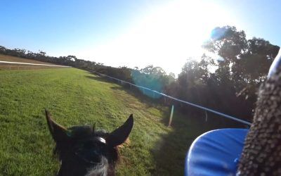 Inkaruna’s Latest Jump Out