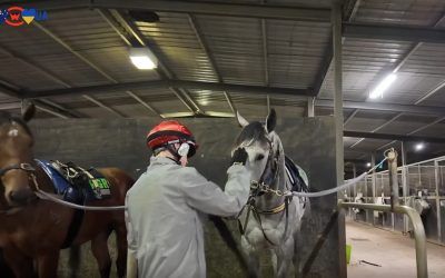 My Gladiola trackwork