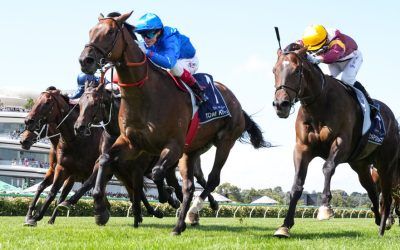 Tom Kitten lands second All-Star Mile