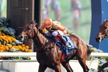 Craig Williams permitted to ride in Standard Chartered Champions & Chater Cup