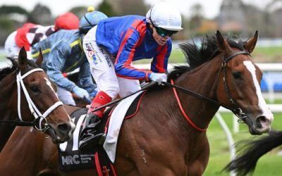 Williams closes in on 10th premiership