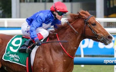 Shadhavar fuels big spring dreams for Team Dabernig
