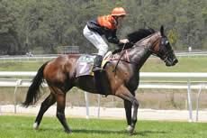 Uncle Phil The Wise Choice At Taree