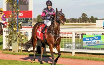 Stable’s consistent run of good form, continues