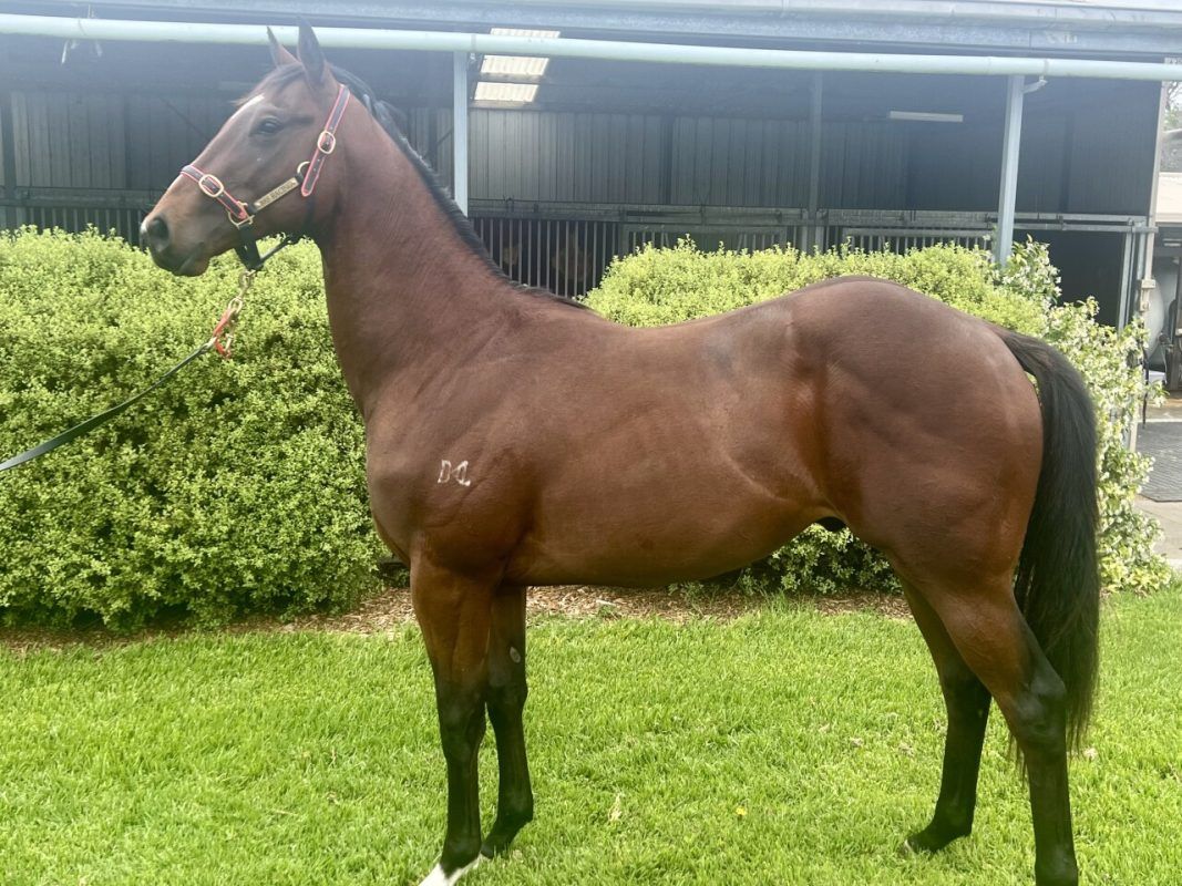 Un-named (Overshare – Devon Belle)