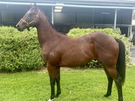 Un-named (Overshare - Devon Belle)