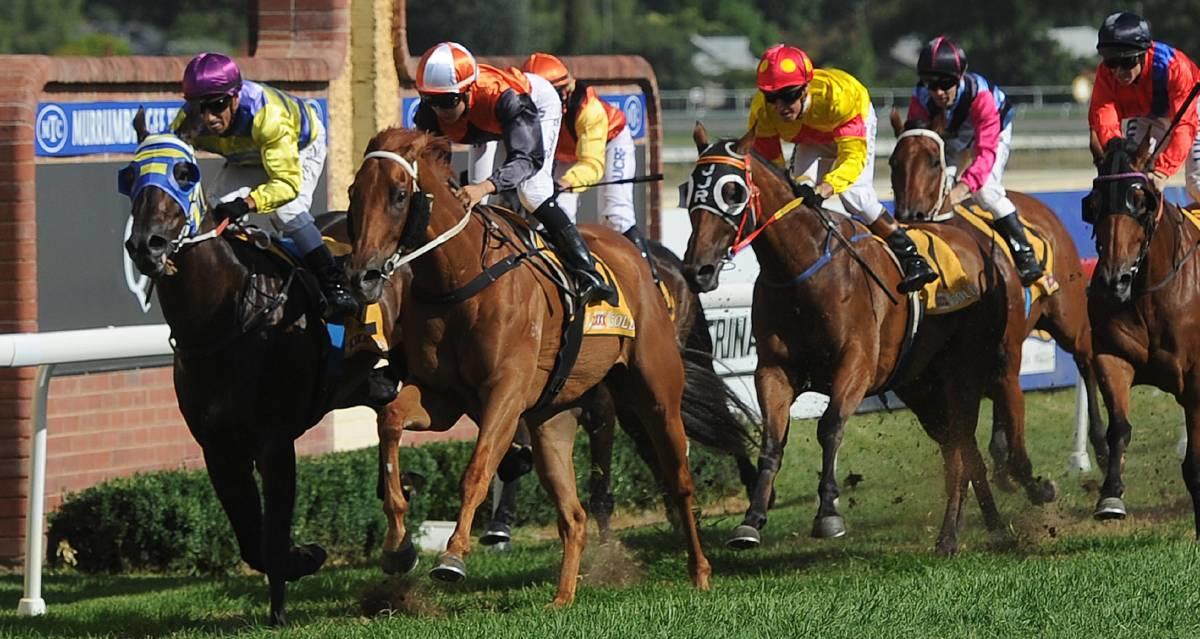Murray Reilly Racing O'Reilly's Revenge wins the Ted Ryder Cup - Murray Racing