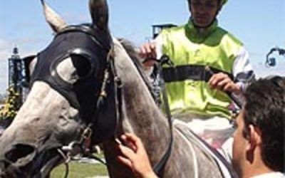 Translation 2nd at Flemington on Oaks Day