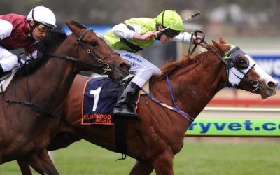 Georgia’s Boy So Close at Flemington