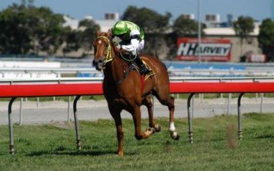 Thirty Seven Megs to run at Doomben Saturday 29 May 2010