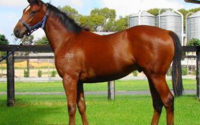 Star ORATORIO 2YO filly BANCHEE in ownership change