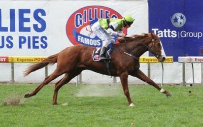 Georgia’s Boy Runs in Echuca Cup