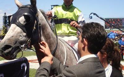 Translation Warms Up for Oaks Day