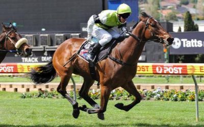 Starry Eyed At Wangaratta