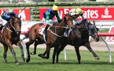 Warrior Seeks Easter Cup Win