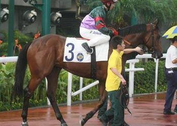 DELBRIDGE RACING SECURES EX-HONG KONG GALLOPER