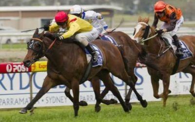 CHURCHILL DOWNS FILLY WINS AT ROSEHILL