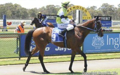 Pakari Toa Impressive First Start Winner