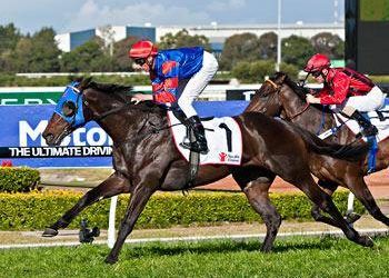 Pierro Stays Perfect In Run To The Rose