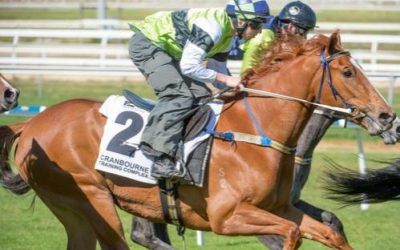 Parallel Lines At Cranbourne Trials