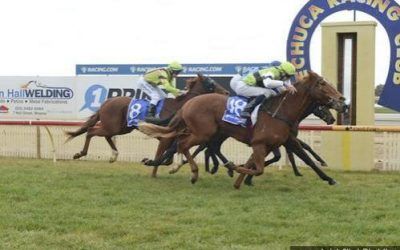 Parallel Lines Wins at Echuca