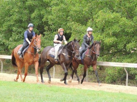 Jason Warren New Training Complex - Delbridge Racing
